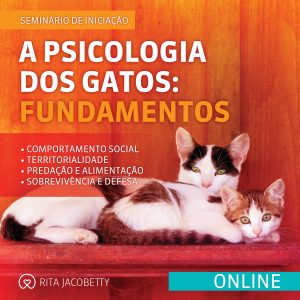 Seminário A Psicologia dos Gatos Fundamentos (online)