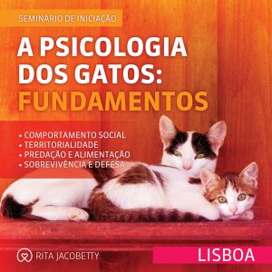 Seminário A Psicologia dos Gatos Fundamentos (presencial)